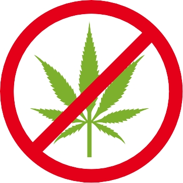 No marijuana use